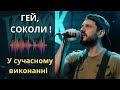 Гей соколи присвячується дроновим підрозділам