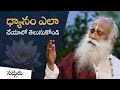 How to meditate  for newbies how to meditate for beginners  sadhguru telugu sadhguru