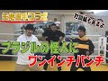 【矢地選手とコラボ】兄弟子と一緒に「サンパウロの怪人」にワンインチパンチしてどっちがブラジルまで飛ばせるか試してみた【実技編】