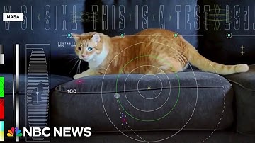 NASA beams cat video from deep space back to Earth using laser