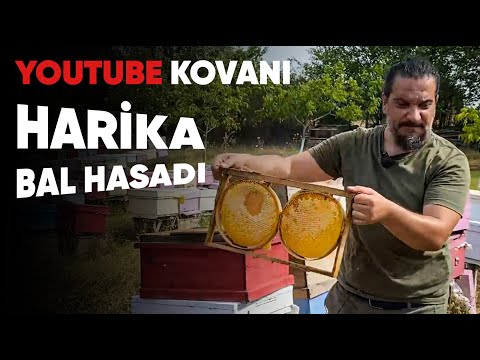 Youtube Kovanından Muhteşem Bal Hasadı - 15.Bölüm