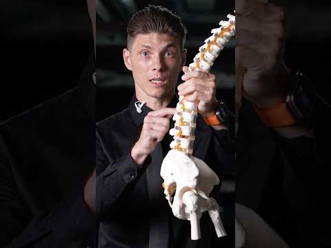 ПОЧЕМУ БОЛИТ ПОЯСНИЦА ? (Биомеханика)