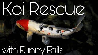 KOI RESCUE, SEE BIGRICH FALL OFF A BOAT AN MORE FUNNY FAILS