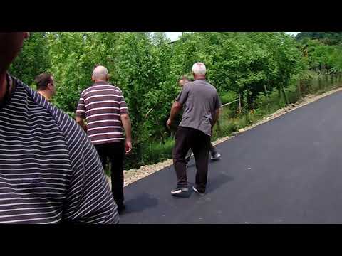 გინება და ქვების სროლა