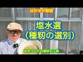 はかせが解説「塩水選（種籾の選別）」お米づくりの最初の工程