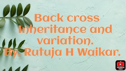 Back cross /PRINCIPLES of inheritance and variation /Class XII /Mendelian genetics.