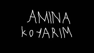 AMINAKODUKLARIM 1 Resimi