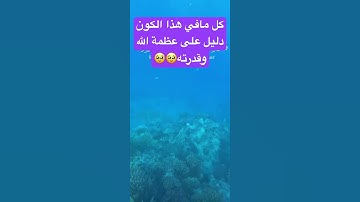سورة لقمان #المصحف #اكسبلور