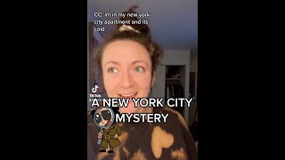 A New York City Mystery - Samantha Hartsoe Tiktok