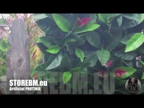 Bm Artificial Hedge You Bm Artificial Hedge Plants