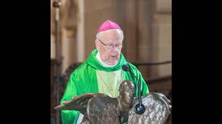 H. H. Weihbischof Grothe: Predigt im Hohen Dom zu Paderborn