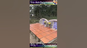 #shorts đồi thông hai mộ nơi lưu giữ mối tình éo le của tâm và thảo