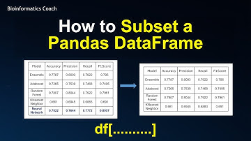 How to Subset a Pandas Dataframe
