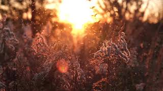 Relaxing Music, 4K Video, Mp3 Juice, Tubidy, Mp3 to YouTube, Music, Mp3, AMBITION OF THE HEAVEN🌙