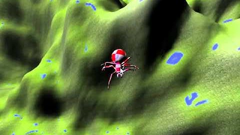 COLLADA skeletal animation result