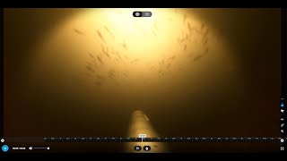 Underwater glider spotted a large school of fish in Loch Lomond