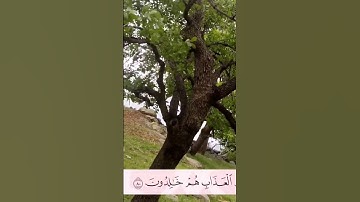 سورة المائدة أرکان سلمان #أرکان_سلمان#آل_عمران