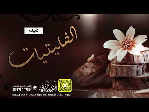 شيلة الفليتيات كلمات واداء بندر الذرفي