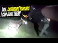 Death by COWARD - the Baby Donkey Story