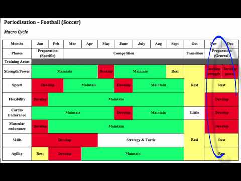 Nasm Periodization Chart