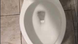 88. Kohler elliston toilet.