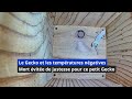 Le Gecko et le froid