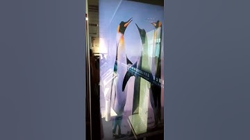 magic mirror item with Body Sensor