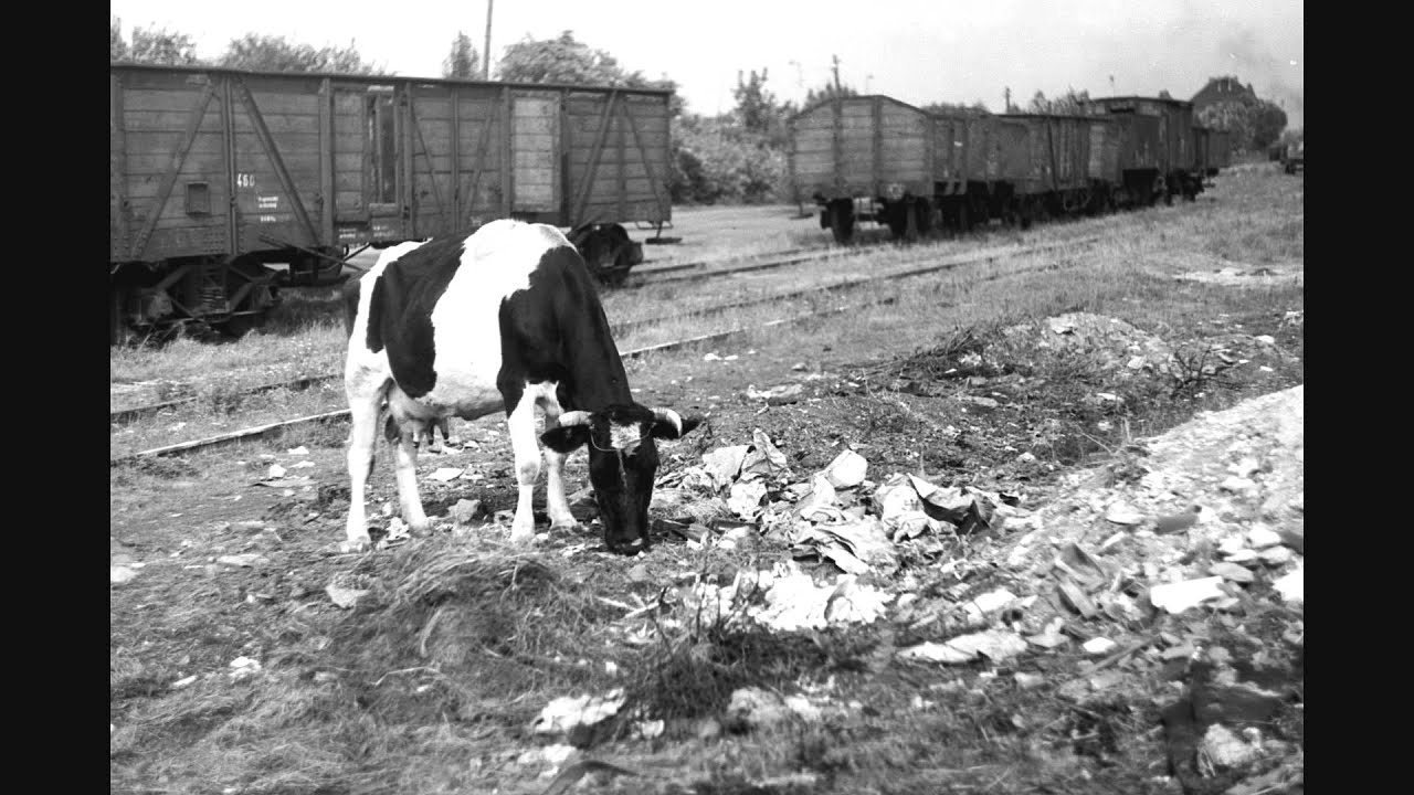 Trzy oblicza starego Łazarza. Prawie... mieścina.