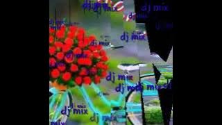 Kaliya DJ sadri song