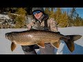 LAKE TROUT ON ICE TIPS & TRICKS || Won't believe how I caught one|| (NEW PB)