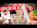 Ожидать ли роста цен? / Продуктовая корзина | Стрим ОТС LIVE — 5 октября