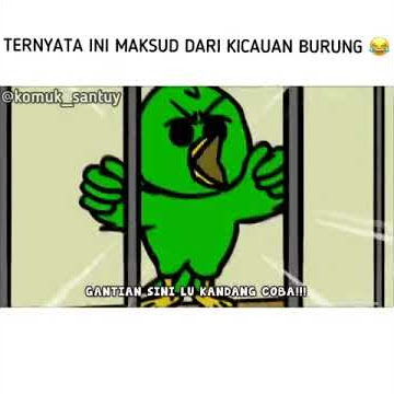 Story wa kicau mania part 5