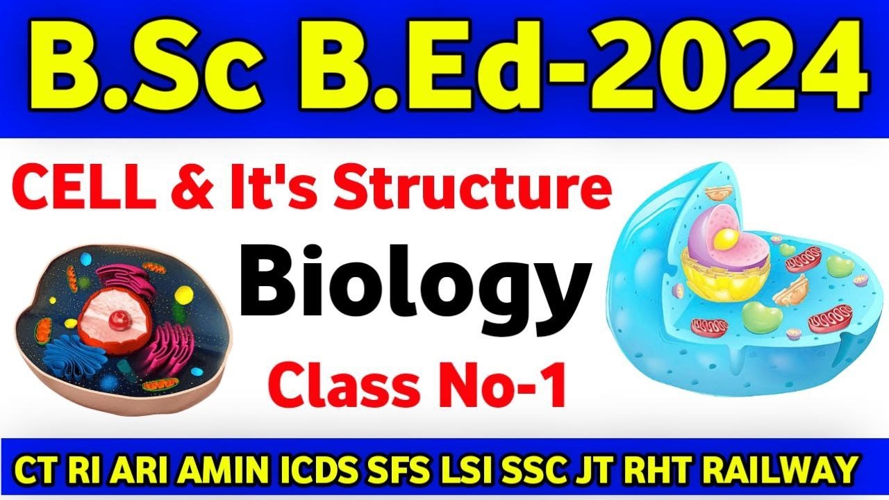 CT BED BHED -2024 EDUCATION GENERAL AWARNESS CLASS NO-13 // OSSSC RI