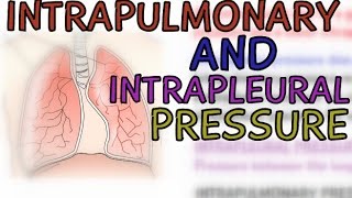 Biology: The Respiratory System: Intrapulmonary Pressure and Intrapleural Pressure