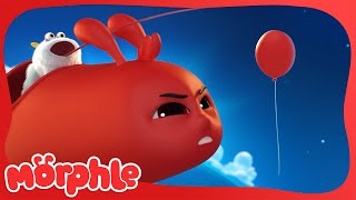 The Great Red Balloon Rescue | Morphle and the Magic Pets | Available on Disney+ and Disney Jr