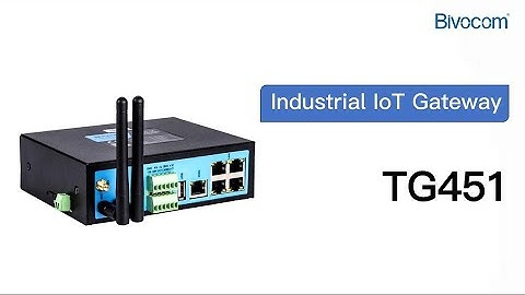 Bivocom Industrial IoT GatewayTG451