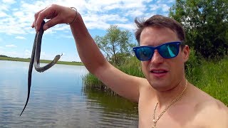 Что Скрывается в Водоемах Рязанской Области. Самая Дорогая Рыбалка в Жизни Что Скрывается в Водоемах Рязанской Области. Самая Дорогая Рыбалка в Жизни