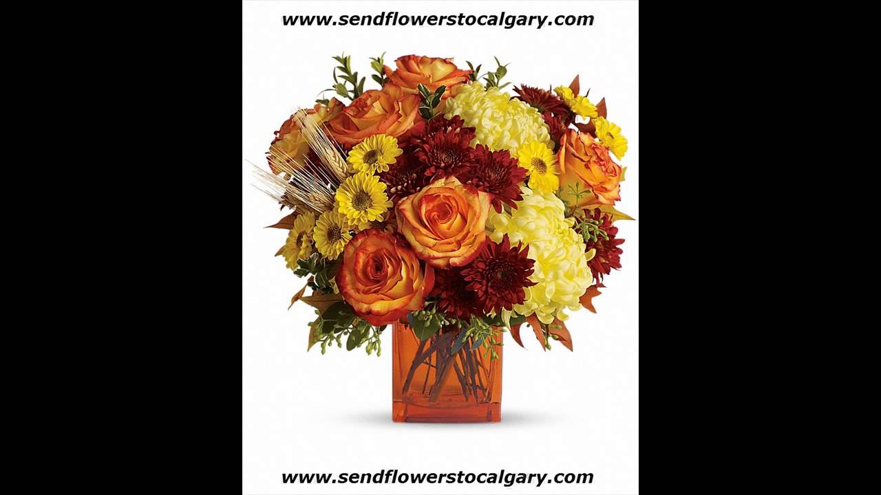 airdrie florists canada
