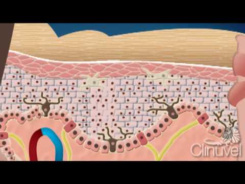 What is skin? The layers of human skin - YouTube