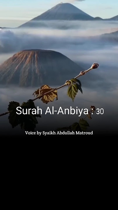 Surah Al-Anbiya : Ayat 30 #quran #quran