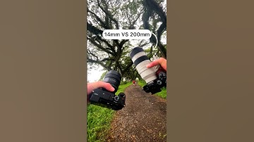 14mm Vs 200mm, which do you prefer? De Djawatan Forest, East Java 📍 #sonyalpha