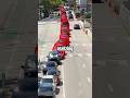 The Things You Can Only See In Miami 