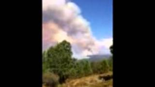 Rim Fire