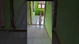 siapa tuh?.. yang tarik!!