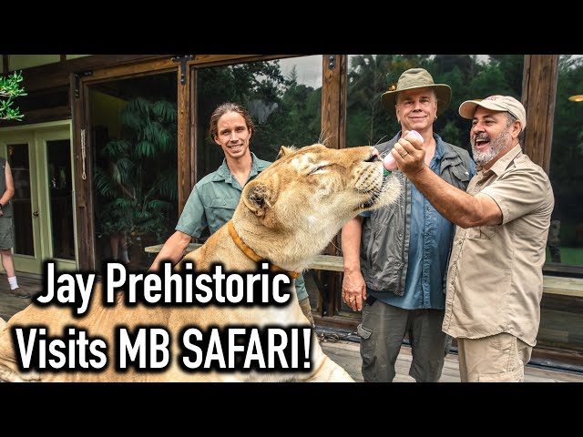 Jay Prehistoric Pets Visits Myrtle Beach Safari! class=