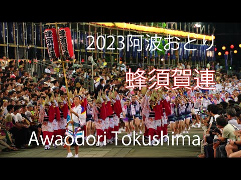 格好いい阿波おどり「蜂須賀連」2023阿波おどりAwaodori Tokushima