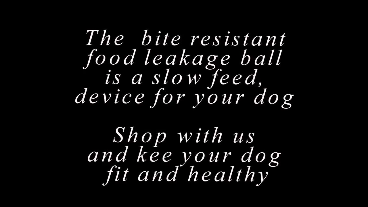 Best Slow Dog Feeder Uk