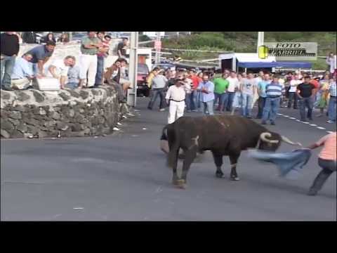 Vídeo: El Encierro De Los Toros En Terceira, Islas Azores, Portugal