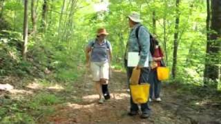 Reseeding the Cumberland Plateau