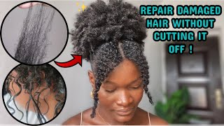 HOW TO REPAIR DAMAGED HAIR AT HOME without cutting it off